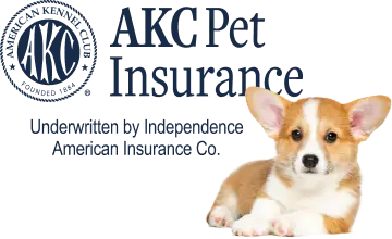 Learn About Pet Insurance